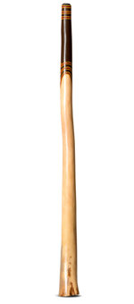 Jesse Lethbridge Didgeridoo (JL112)